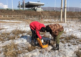 鸡西采空区探测