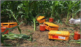 雄安新区地质调查(图2)